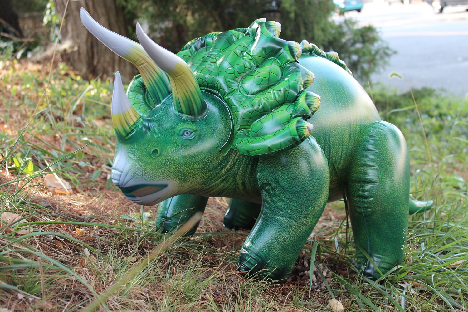 Triceratops