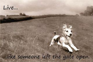 Live like someone left the gate open