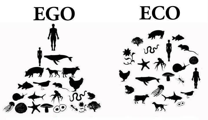 Ego vs Eco