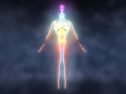 Chakras and Meridians